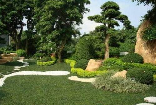 园林绿化爆料视频大全,揭秘美丽背后的秘密  第2张